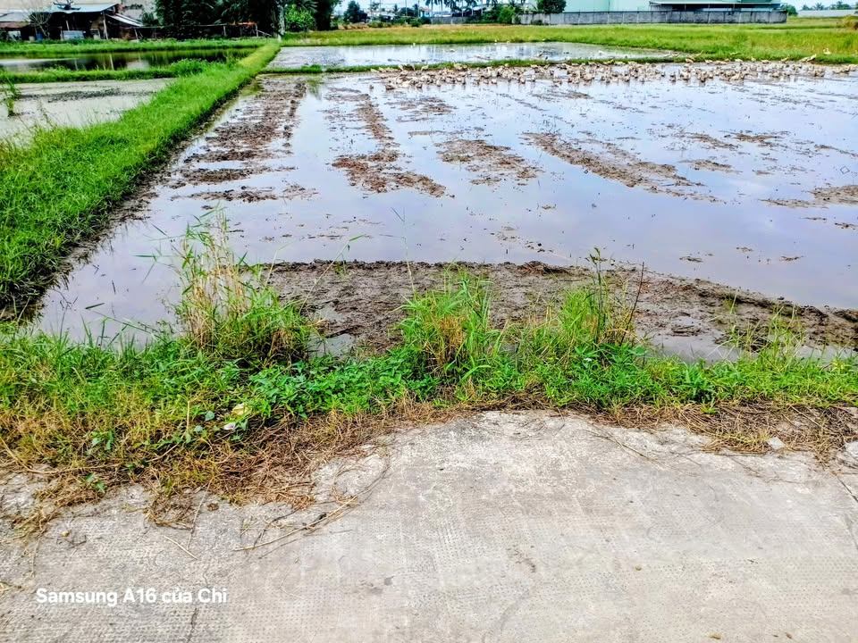 Đất nền Tỉnh Lộ 9, Mỹ Hạnh, Đức Hòa 120m² giá 1.09 tỷ - Cơ hội đầu tư hiếm có!