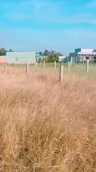 Đất nền thổ cư 150m² tại Gò Xoài, Tân Trung - Giá chỉ 450 triệu VND!