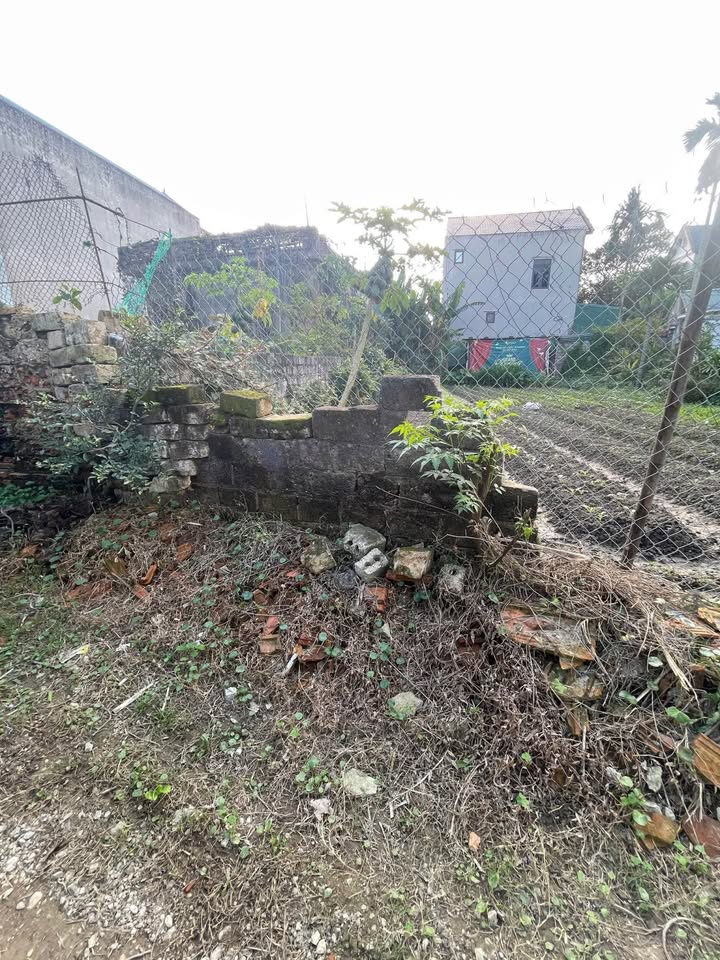 Đất nền chính chủ tại Quảng Châu, TP Sầm Sơn 161m² giá 1.95 tỷ - Cơ hội vàng đầu tư!