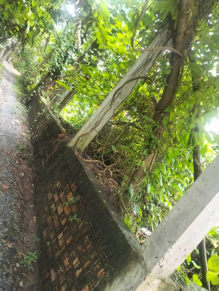 Đất nền chính chủ 108m² tại Định Mỹ - Giá chỉ 335 triệu, thương lượng nhẹ!