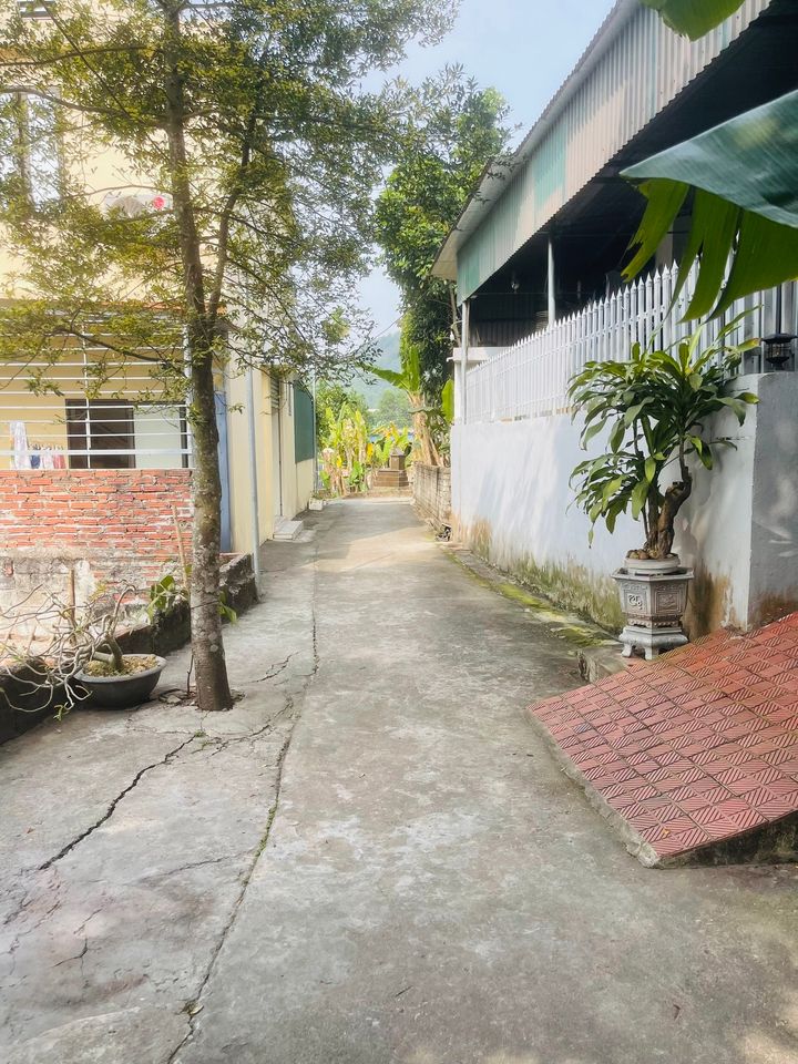 Đất thổ cư thôn 5, xã Thủy Sơn, Hải Phòng 132m² - Ngõ ô tô đỗ cửa, giá chỉ 1 tỷ!