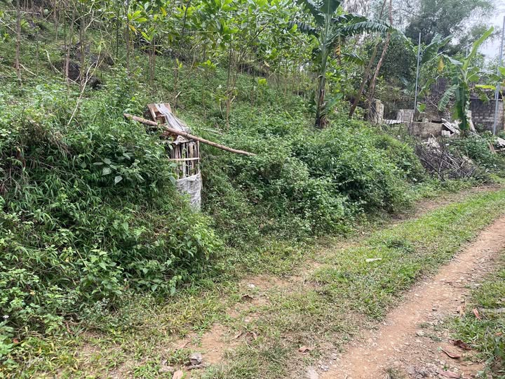 Đất thổ cư Lạc Lương, Yên Thủy 4666m² giá chỉ 1.6 tỷ - Cơ hội đầu tư sinh lời cao!