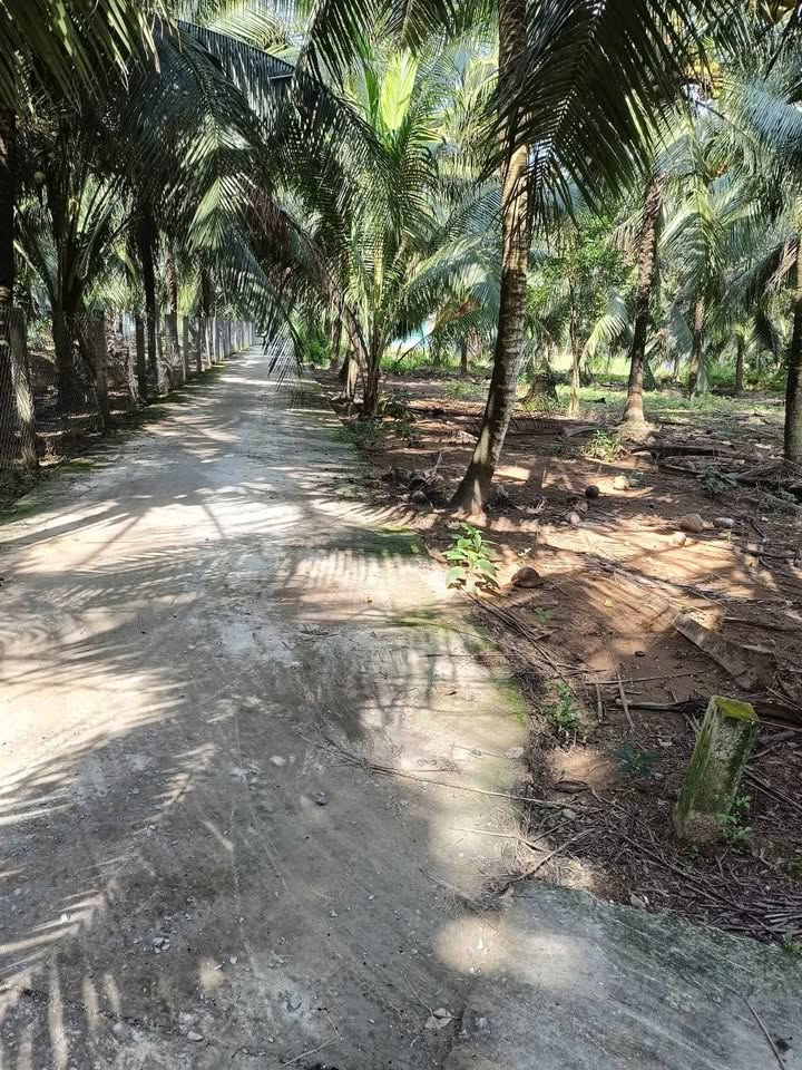 Đất nền Lộc Thuận, Vĩnh Long 5818.5m² giá 6.87 tỷ - Đầu tư lý tưởng cho khu nghỉ dưỡng!