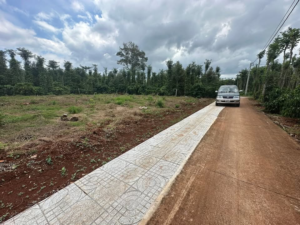 Lô đất 125m² tại Kim Long, Châu Đức - Giá chỉ 530 triệu, sổ đỏ chính chủ!