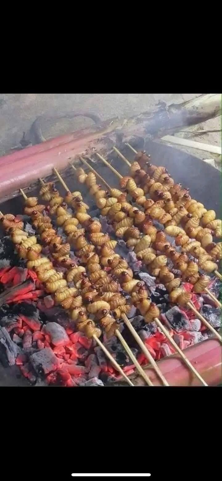 Đất nền Suối Nghệ Châu Đức 1000m² giá 1.5 tỷ - Nở hậu, đường nhựa thuận lợi!