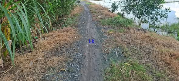 Đất nông nghiệp Tân Hội Trung 1000m² giá 5.44 tỷ - Tiềm năng phát triển lớn!