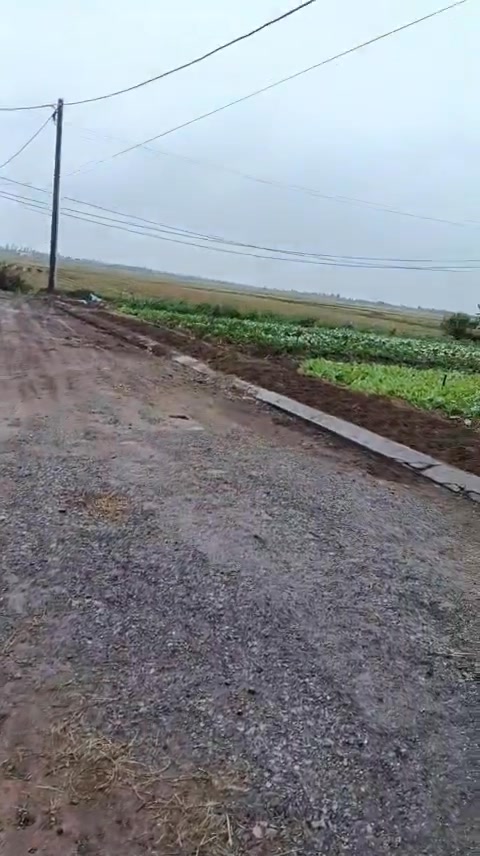 Đất nền Đông Long Tiền Hải 200m² giá 1.5 tỷ - Cơ hội đầu tư hấp dẫn!