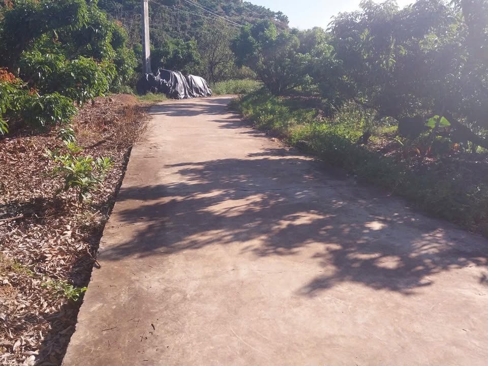 Đất nền Đồng Cốc, Lục Ngạn 4000m² giá chỉ 1 tỷ - Cơ hội đầu tư tuyệt vời!