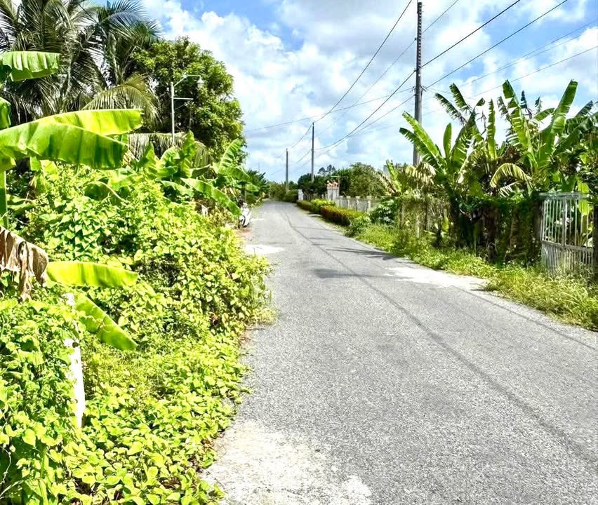 Đất nền thổ cư 190m² tại Cái Vồn, Bình Minh - Giá 700 triệu, thương lượng ngay!