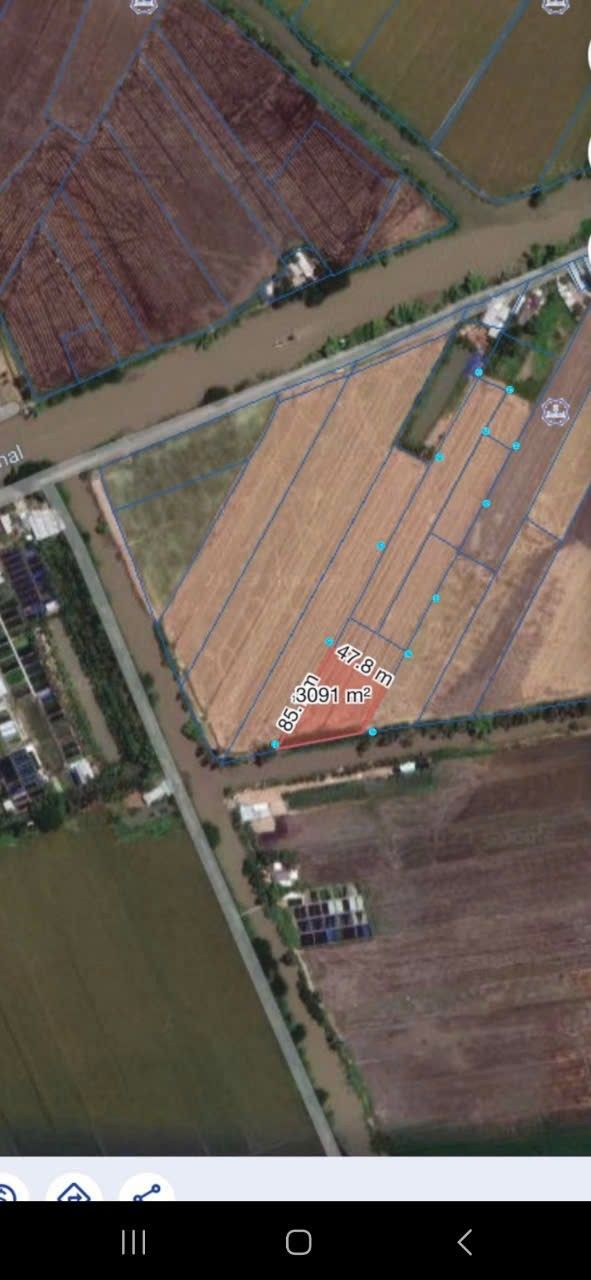 Đất lúa 13 công tại Mỹ Thới, Long Xuyên - Giá chỉ 200 triệu/công!