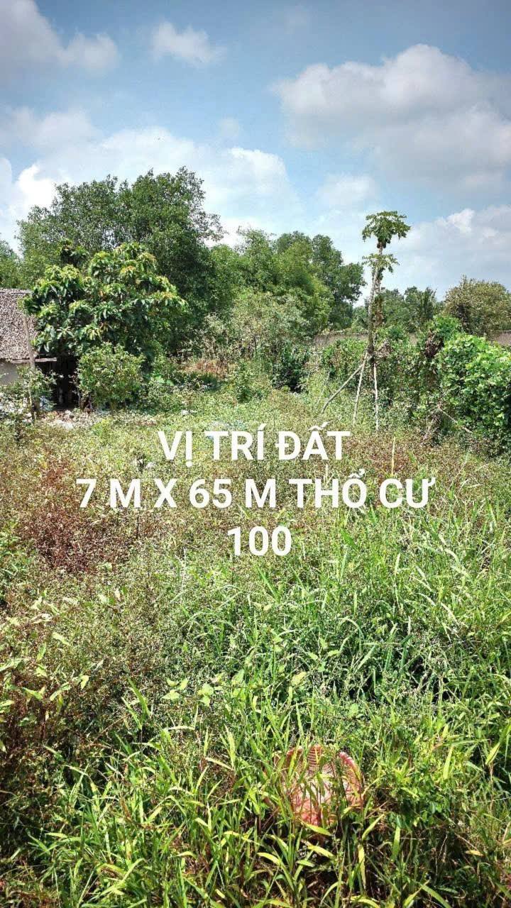 Đất nền Vĩnh Hòa Hiệp 975m² giá thỏa thuận - Kinh doanh thuận lợi!