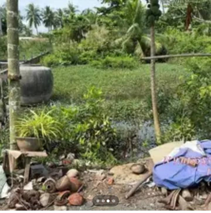 Đất mặt tiền đường Nguyễn Trường Tộ, Sóc Trăng 736m² - Giá chỉ 1.5 tỷ!