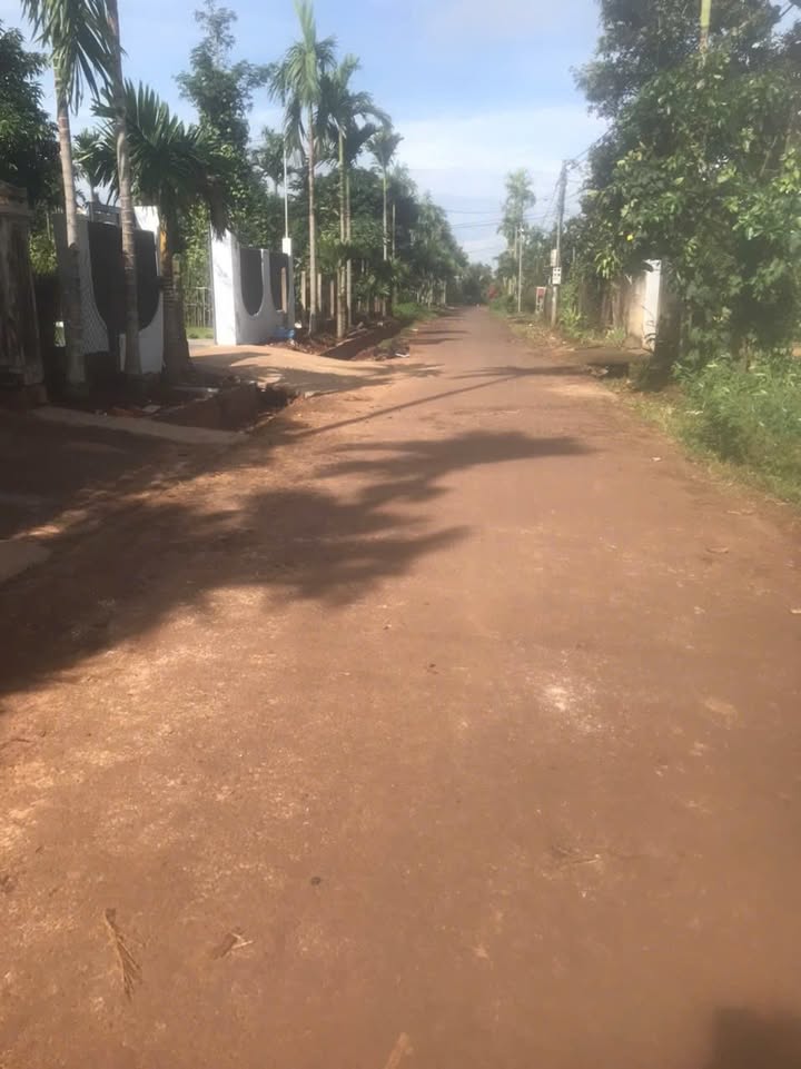 Đất nền Hòa Thuận Buôn Ma Thuột 550m² giá 1.65 tỷ - Đầu tư sinh lợi ngay!