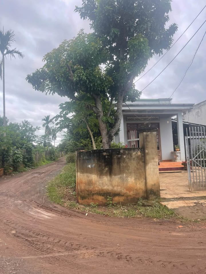 Đất thổ cư 339m² tại Ea Nuôl - Giá 1.25 tỷ - Cơ hội đầu tư hấp dẫn!