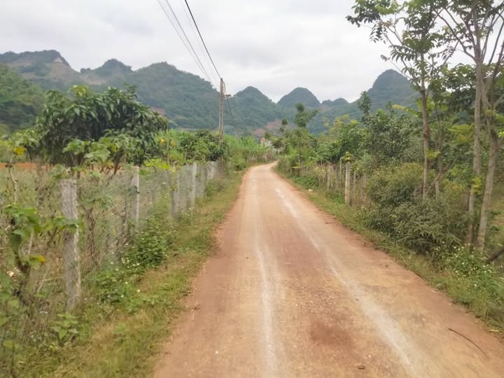 Đất nền 4920m² tại Chiềng Sinh, Sơn La - Sổ hồng chính chủ, giá 1.6 tỷ!