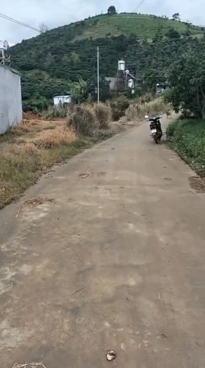 Đất thổ cư 1ha Đinh Trang Hòa, Di Linh giá 2.5 tỷ - Tiềm năng đầu tư lớn!