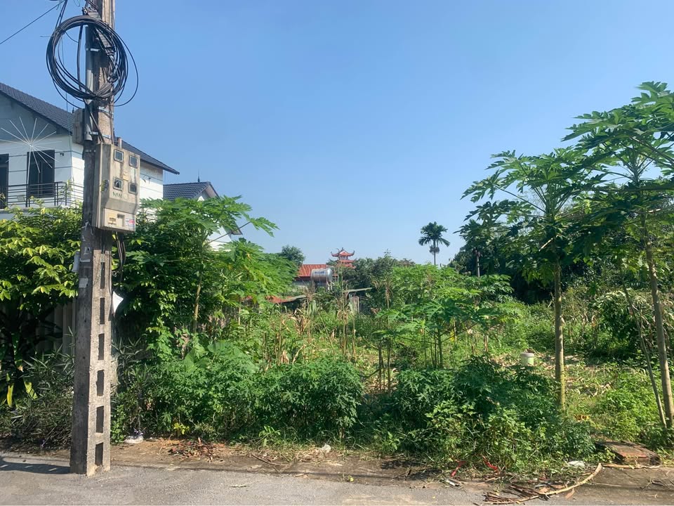 Đất ở Hương Vị, Hương Sơn 105,9m² giá 1,4 tỷ - Vị trí đẹp, tiện ích đầy đủ!