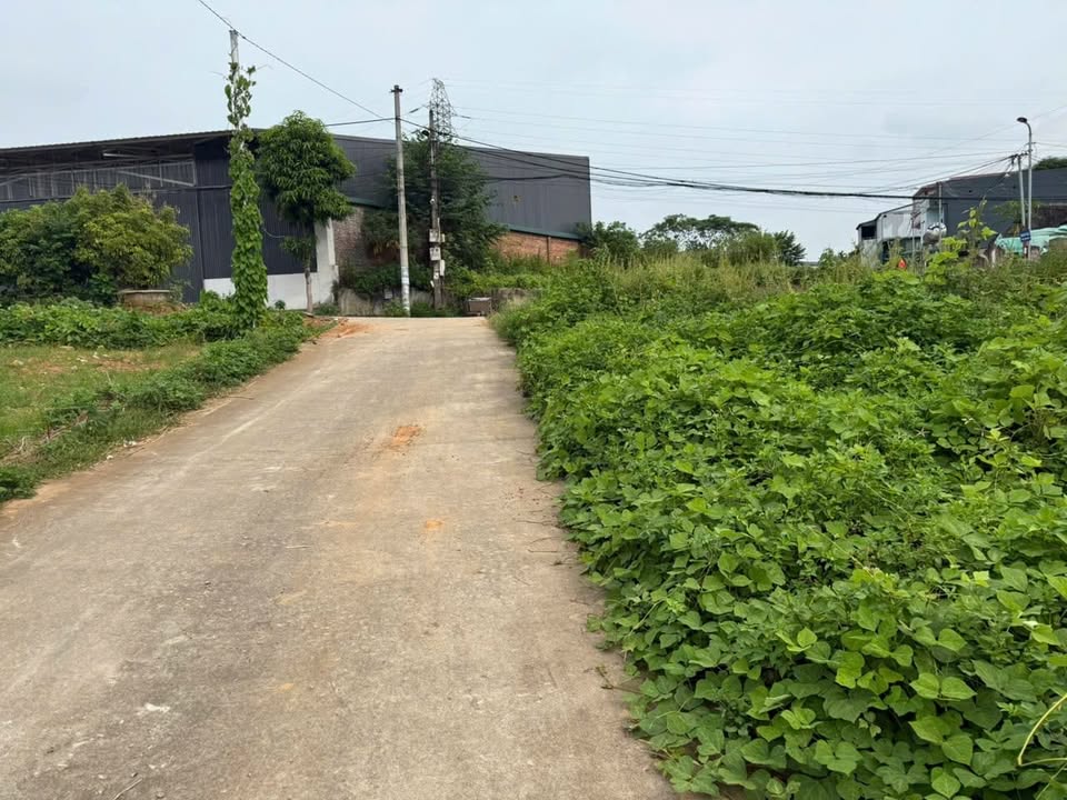 Đất nền Vân Phú 81.5m² giá 2 tỷ - Đường thông ô tô tránh, dân cư đông đúc!