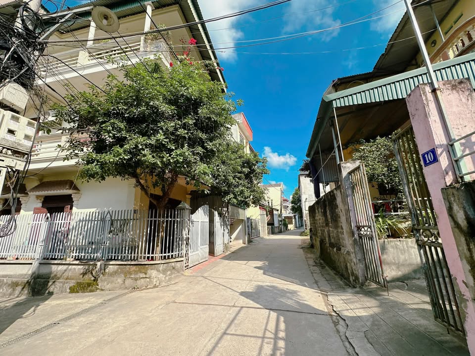 Bán đất lô góc 213m² tại khu 1B Nông Trang Việt Trì - Giá chỉ 10.65 tỷ!