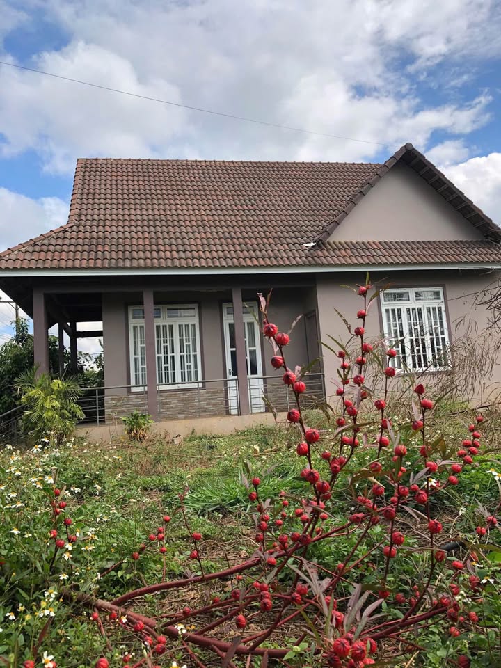 Nhà sân vườn Tà Nung Đà Lạt 1.520m² giá 12 tỷ - Đầu tư sinh lời lý tưởng!