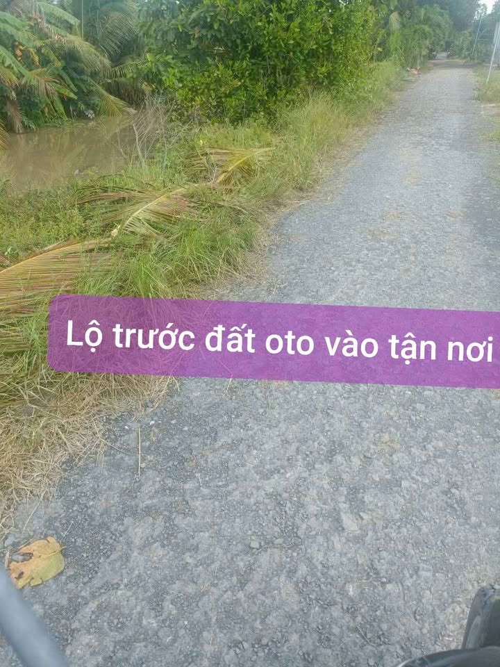 Đất ruộng 5 công tại Lộc Hòa, Long Hồ, Vĩnh Long - Giá chỉ 2,8 tỷ, pháp lý rõ ràng!