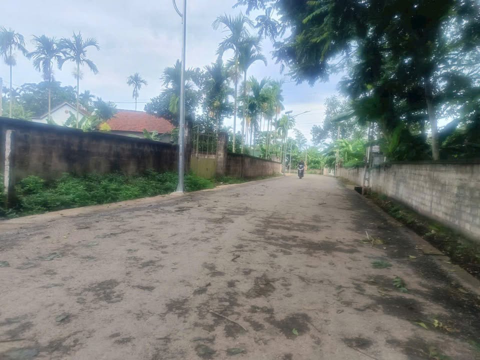 Lô đất Nghĩa Mỹ Thái Hòa 322.5m² giá 700 triệu - Chính chủ bán gấp!