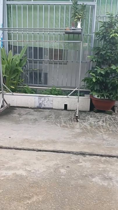 Căn nhà cấp 4 tại Vĩnh Lộc A, Bình Chánh 68m² giá 1.1 tỷ - Cơ hội sở hữu ngay!