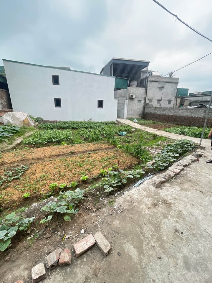 Đất nền Ô Mễ 2, Tân Phong 57m² giá 800 triệu - Đầu tư sinh lời ngay!