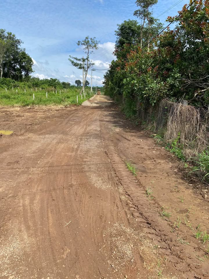 Đất nền Đá Bạc 270m² giá 670 triệu - Cơ hội đầu tư hấp dẫn!