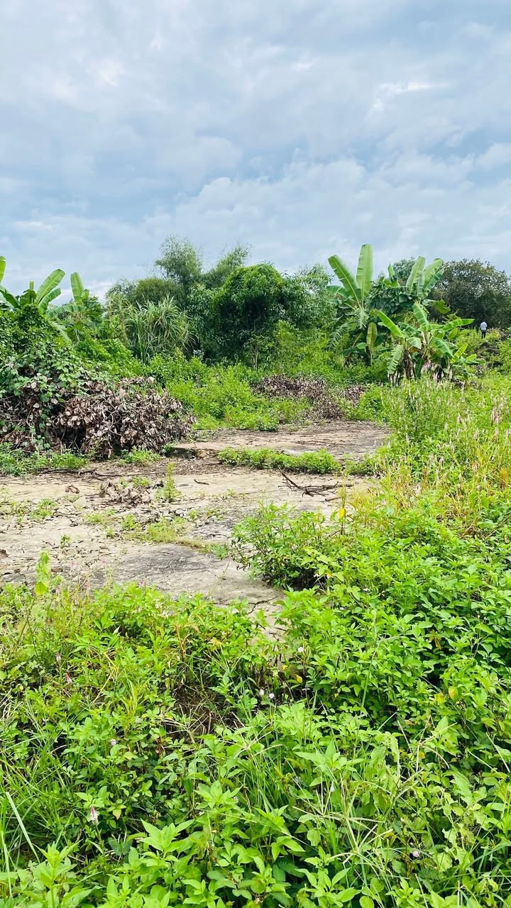 Đất thổ cư 4630m² xã Định Quán, Đồng Nai - Giá chỉ 2.2 tỷ, cơ hội đầu tư tuyệt vời!