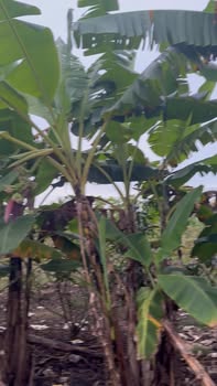 Đất nền 1400m² Bình Lộc, Long Khánh giá chỉ 1.35 tỷ - Cơ hội đầu tư tuyệt vời!