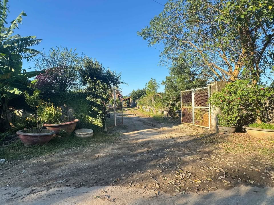 Đất nền 4.700m² tại Kim Sen, Đông Triều - Giá chỉ 2.7 tỷ VND - Cơ hội đầu tư hiếm có!