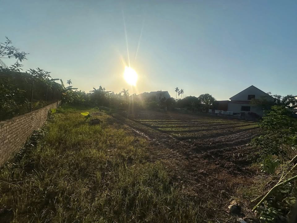 Đất thổ cư 1000m² tại Đông Tảo, Hưng Yên giá 1 tỷ - Cơ hội đầu tư tuyệt vời!