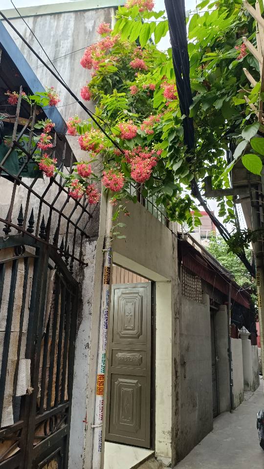 Nhà phố 4a/76/132 An Đà 30m² giá 900 triệu - Công năng đầy đủ, sẵn sàng ở ngay!