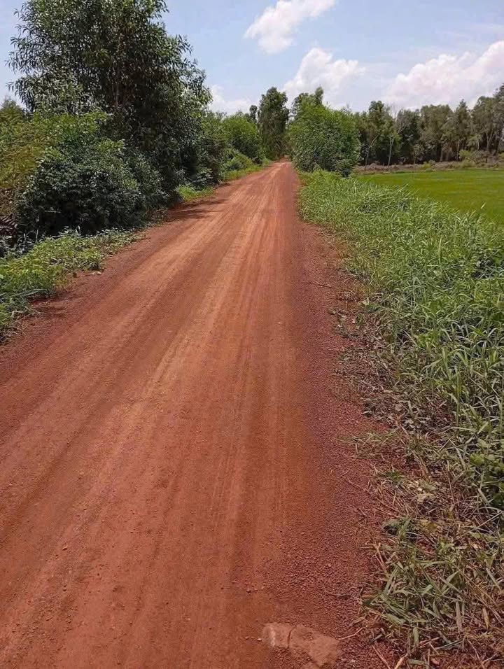 Đất 1 mẫu 8 Tân Hiệp, Thạnh Hóa giá 2.6 tỷ - Mặt tiền đường ô tô thuận lợi!