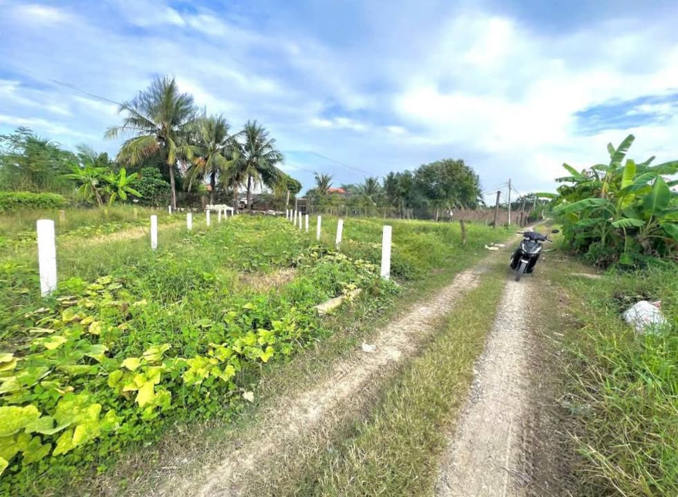 Đất thổ cư 123m² tại xã Nhựt Tảo, Long An - Giá chỉ 380 triệu!