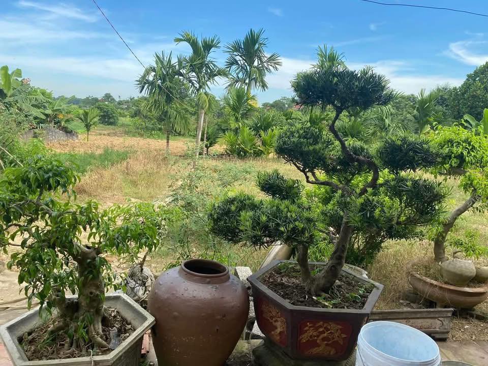 Đất Vĩnh Hùng 1.096m² giá thỏa thuận - Khu kinh doanh tiềm năng!