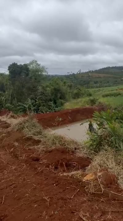 Đất nền 2ha thôn 5, Quảng Tâm, Tuy Đức - Giá 800 triệu, thương lượng!