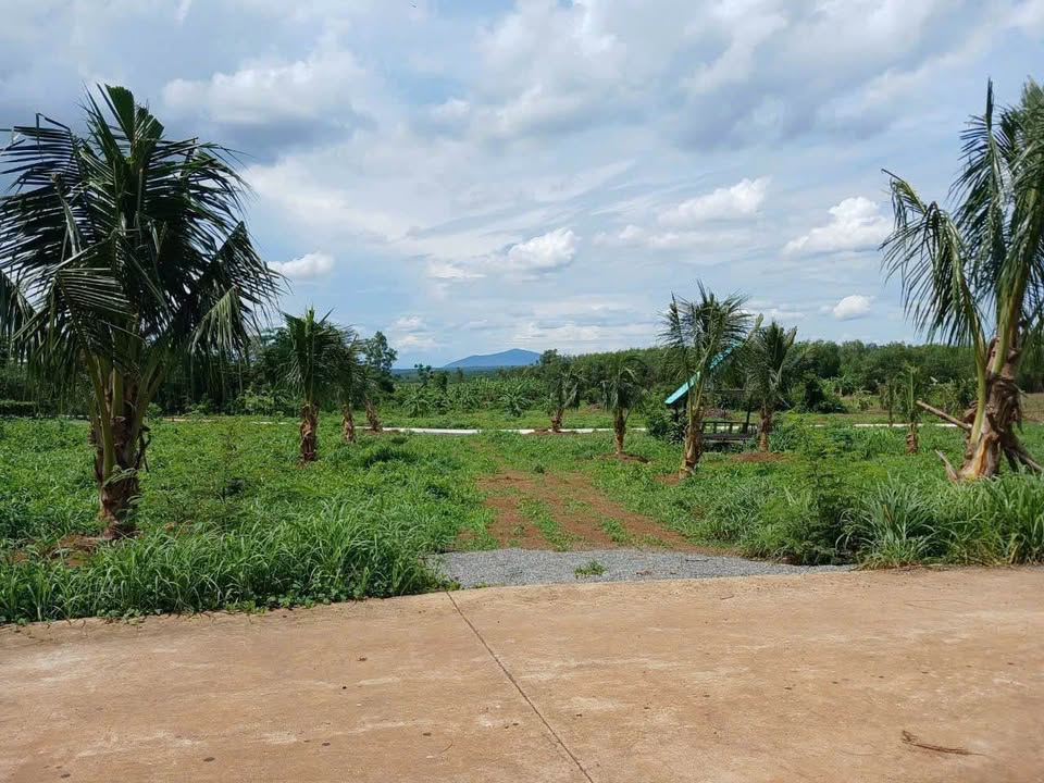 Đất ở nông thôn Sơn Bình, Châu Đức 2552m² giá 3.5 tỷ - Mặt tiền đường bê tông rộng rãi!