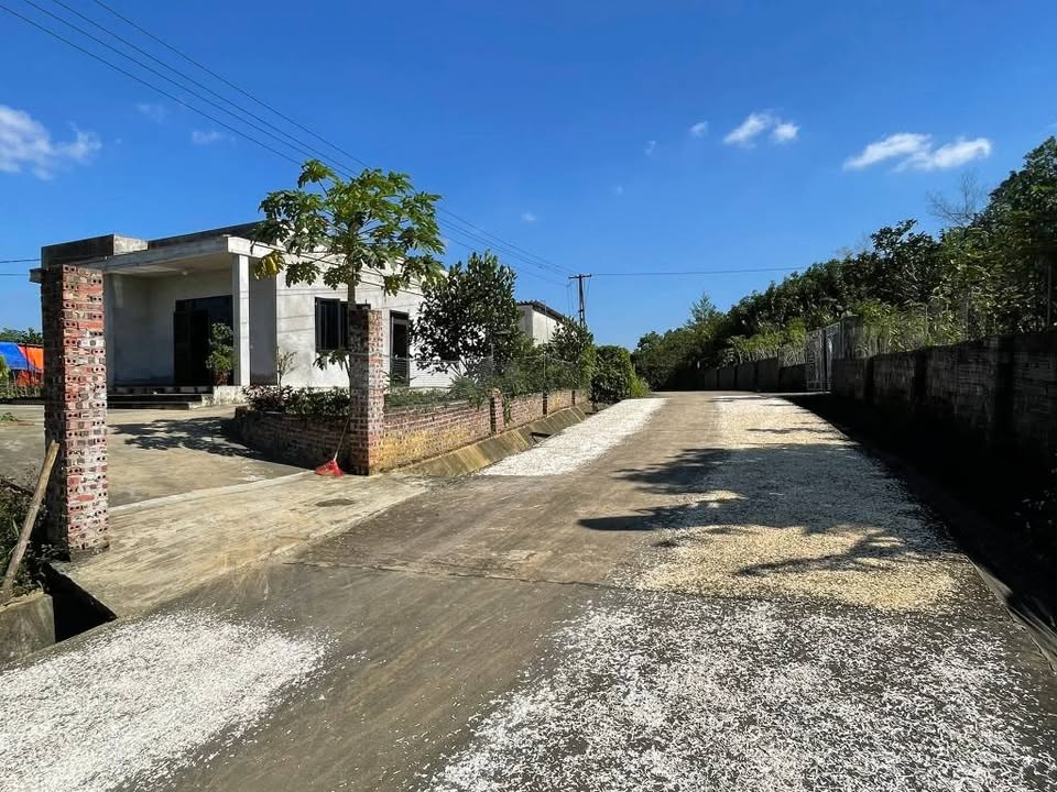 Đất nền Thượng Long, Yên Lập, 200m² giá chỉ 200 triệu - Cơ hội đầu tư tuyệt vời!