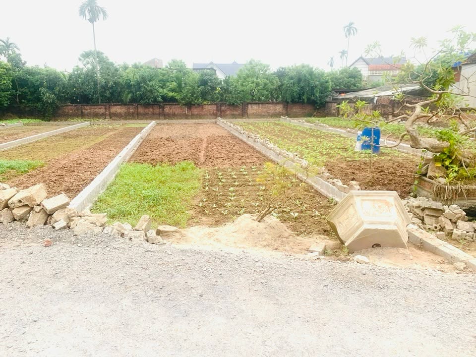 Đất ở Hàm Tử, Khoái Châu 124m² giá 2.5 tỷ - Gần dự án Donatrum