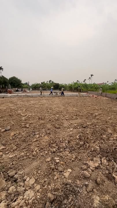 Đất nền Bát Trang, An Lão 60m² giá 600 triệu - Tiềm năng tăng giá cao!