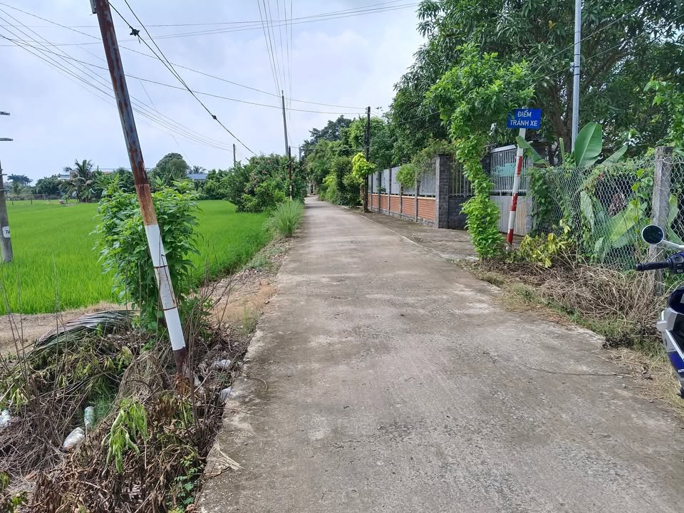 Đất thổ cư 900m² tại ấp Bình Lương Hai, Thủ Thừa - Giá chỉ 3.5 tỷ!