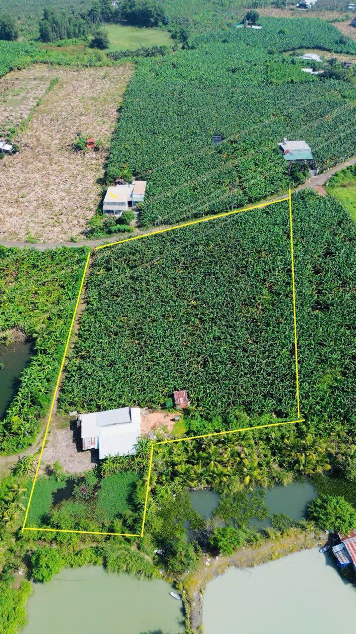 Đất nền Sông Thao Trảng Bom 7000m² giá 300 triệu - Đầu tư sinh lời ngay!