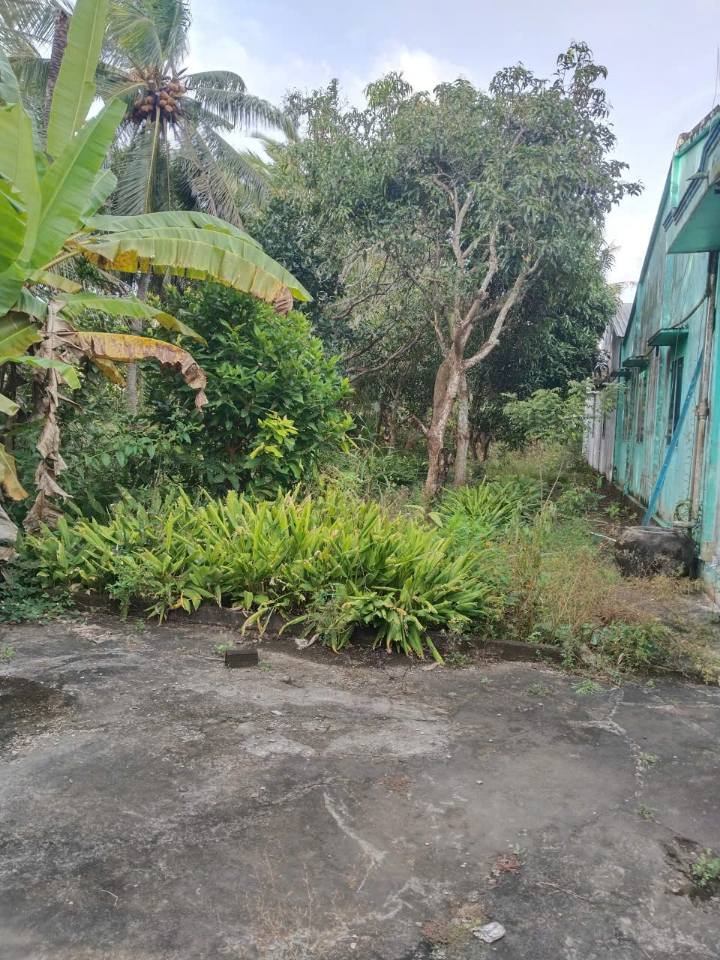 Đất mặt kênh Chông Chác, Sóc Trăng 1300m² giá 6.5 tỷ - Đầu tư sinh lời bền vững!