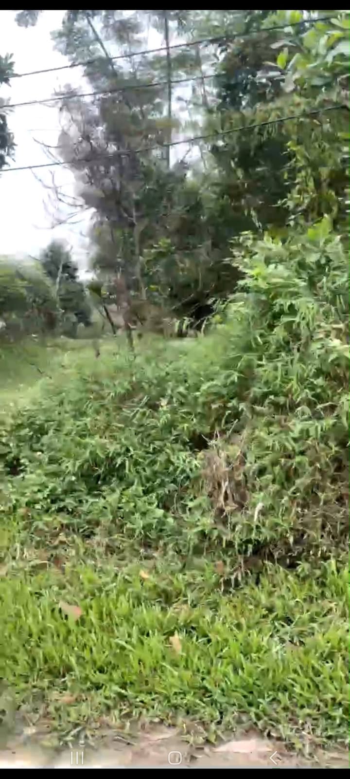 Đất thổ cư 510m² tại đường Yên Mông, Thanh Sơn, Phú Thọ - Giá thỏa thuận, mặt đường 15m thuận lợi kinh doanh