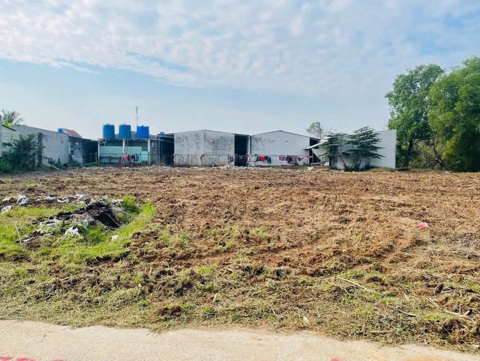 Đất nền 200m² Cây Dương, Đức Hòa - Giá 1.9 tỷ, Đầu tư sinh lời ngay!