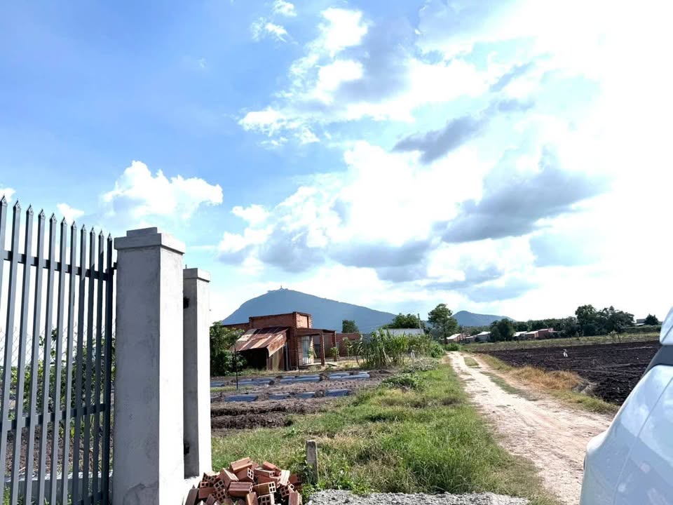 Đất thổ cư 13000m² Suối Đá Dương Minh Châu giá 650 triệu - Sẵn sàng cho bạn!