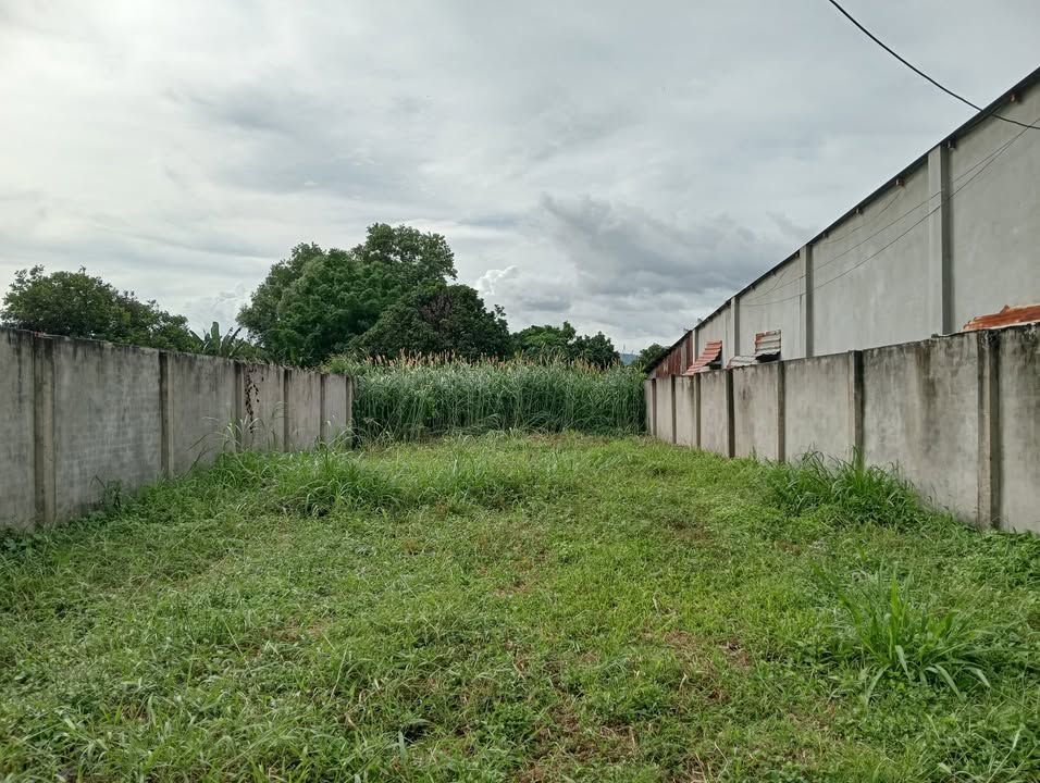 Đất mặt tiền Hương Lộ 8, xã Long Phước, Bà Rịa 377m² giá 3.5 tỷ - Đầu tư sinh lời ngay!