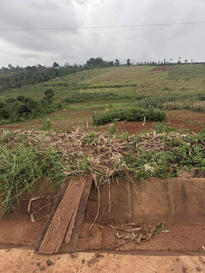 Đất nền Đắk Song 325m² giá 650 triệu - Phù hợp kinh doanh buôn bán!